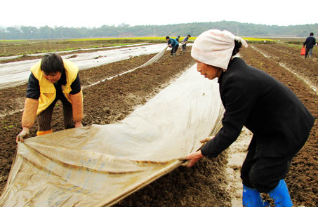 ���ϵ��أ������¶���̧ͷ�� ũ�񴺸�æ