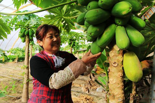 ��Ҵ�и�������������Ҷմ�ľ�ϳ���ϲ�ˡ�