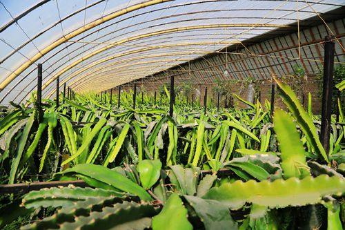 ���ࣺ�Ϸ�ˮ�����仧����Ҵ ����ľ�Ͽ�ʼ���