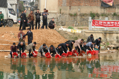 ��������������Ԫ����չ��ֳ�����