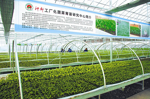 �Ĵ����ĸ����� �ִ�ũҵ������Խ������