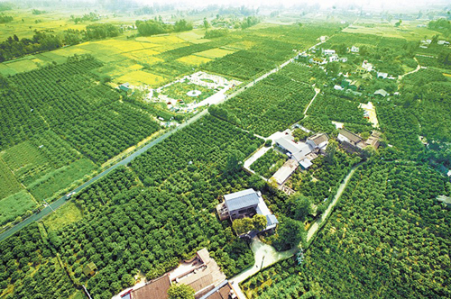 �¶�������԰����������