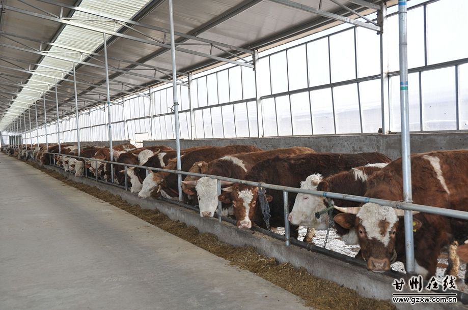 ����ʡ����������������������������ҵ��չ���