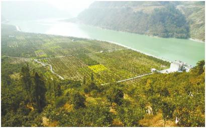 �Ĵ�ʯ���أ����ڻƹ��� ʯ��ռ�˰˳�