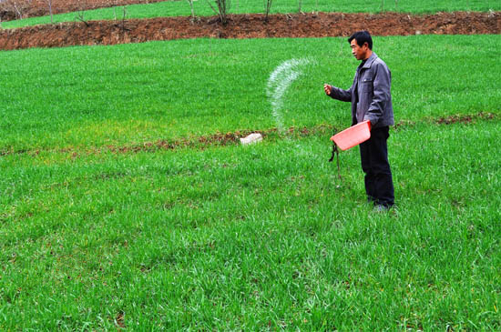 ���࿵��ũ���ǿ����������