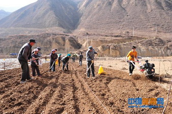 ����崲���ץס�����ʻ���չ��������