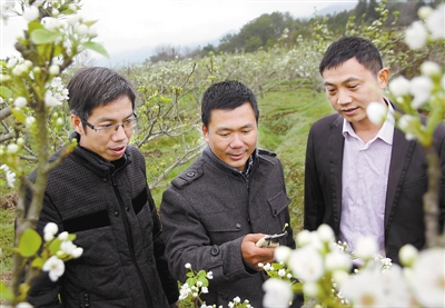 ������͡��ɽ���滨ʱ�ڰ��æ