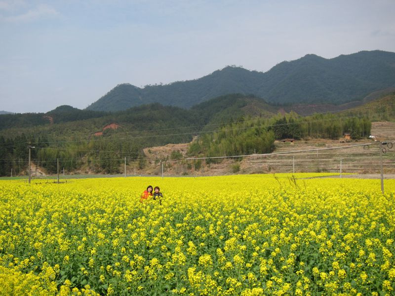 �������֣��Ͳ˻��ֿ���