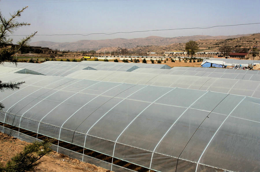 �����żҴ�����������ľ���磺�ػ���ǿ��ҵ���´�