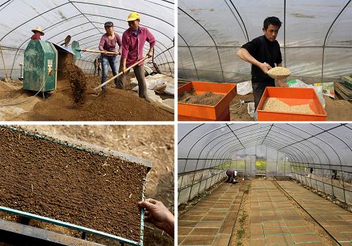 ����ʡ�����ز������״弯������������