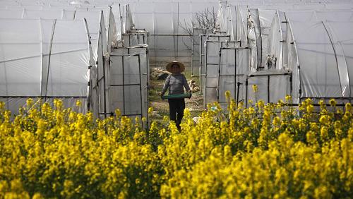 3��17�գ�ũ���ڽ���ʡ�����ز������״�����������ذ�������