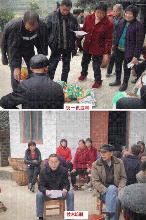 ���ϴ������������������߲������ȳ�