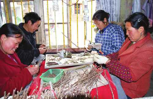 ����¡���ؼ޽�õ����ľ��Ϊ�¸���һ��ҵ