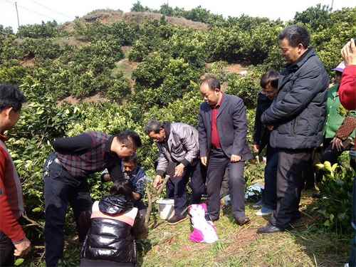 ������ɽ�ش���ʵʩ����Ʒ��