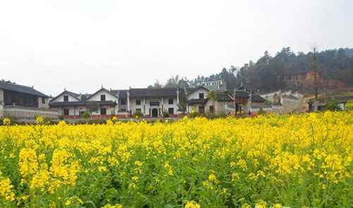 ����˫���غ�Ҷ�������ǰ�˻���