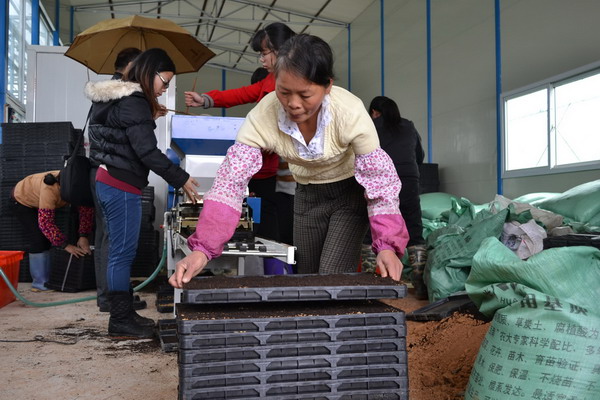 ������ƽ���������¿�ˮ����������������ʽͶ��ʹ