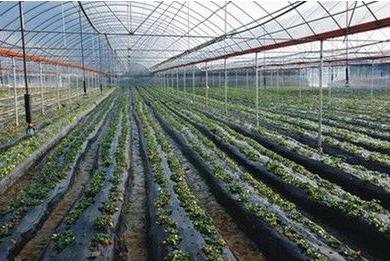 ������ƽ�˴�������չ��ʩũҵ ��ũת����Ч