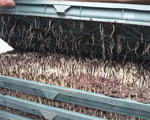 ����������ͨ�������̴�ѿЧ���ã����̽��������