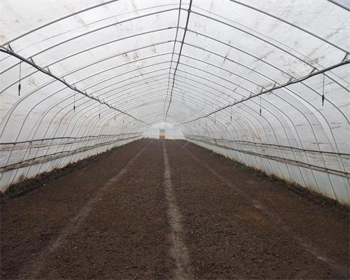 ��ʢ��������������ȫ��ƽ����λ