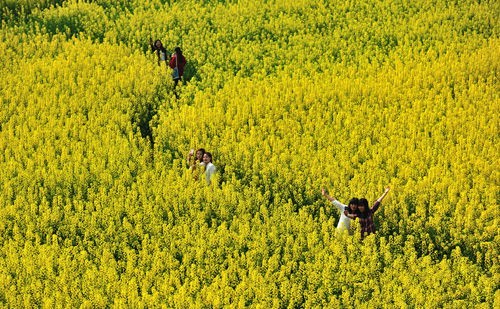 �Ĵ������ز��ʹ�����Ŀ�����������