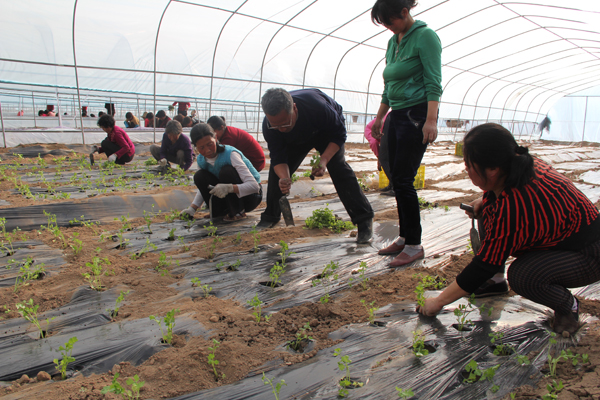 ������ˮ�������ʩ�߲˻��ش���æ