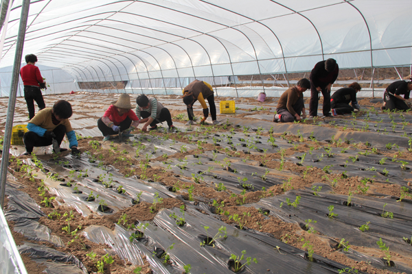 ������ˮ�������ʩ�߲˻��ش���æ2