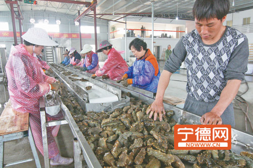 ����ϼ�ֺ����ջ��ֵ�ɴ�15��Ԫ