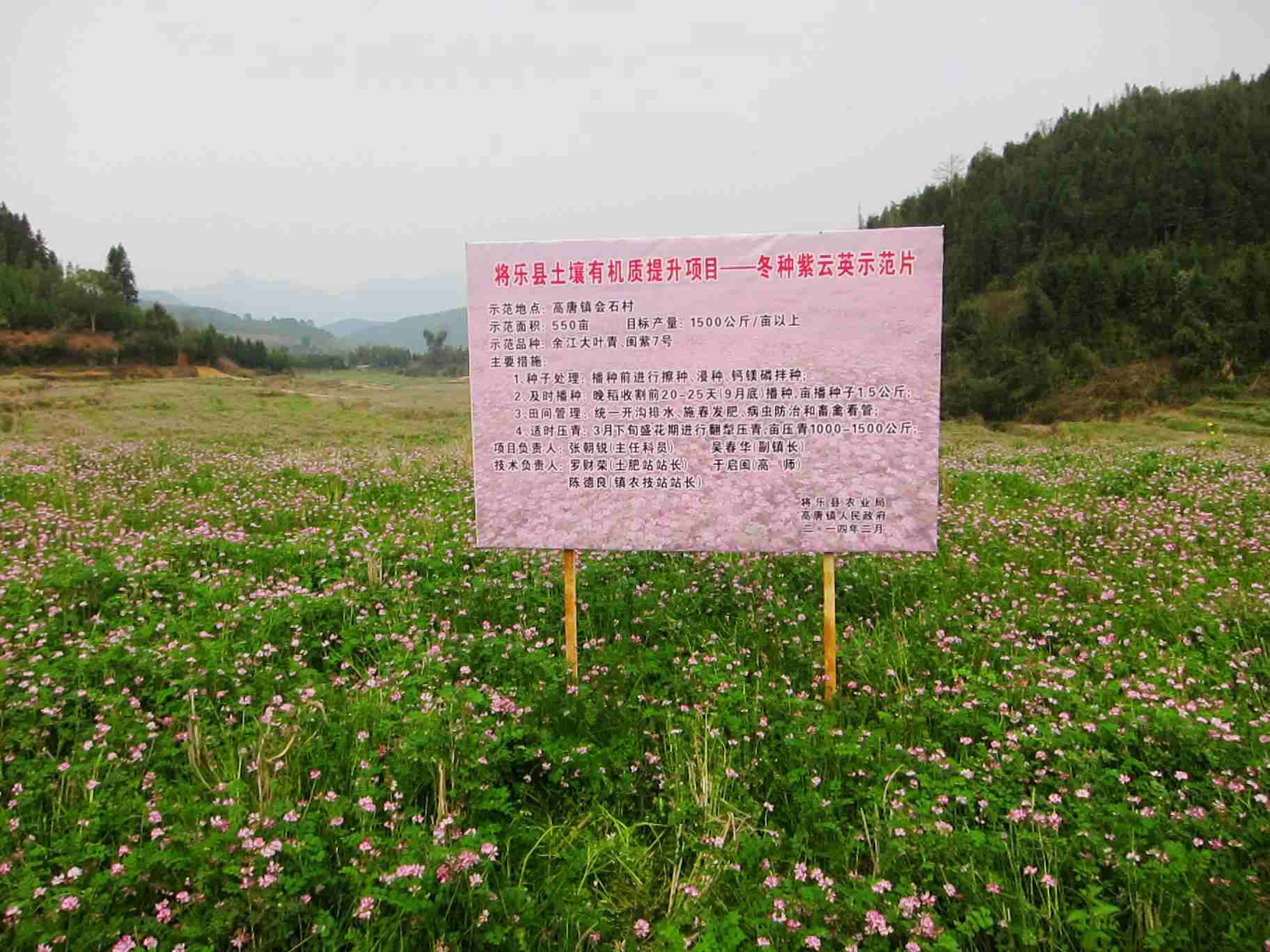 �������֣���������Ӣ����ϲ��