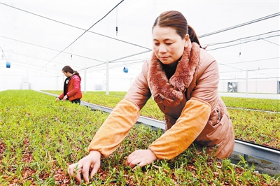 �������ǣ������Ǿ��Ĺܻ���Ƥʯ������