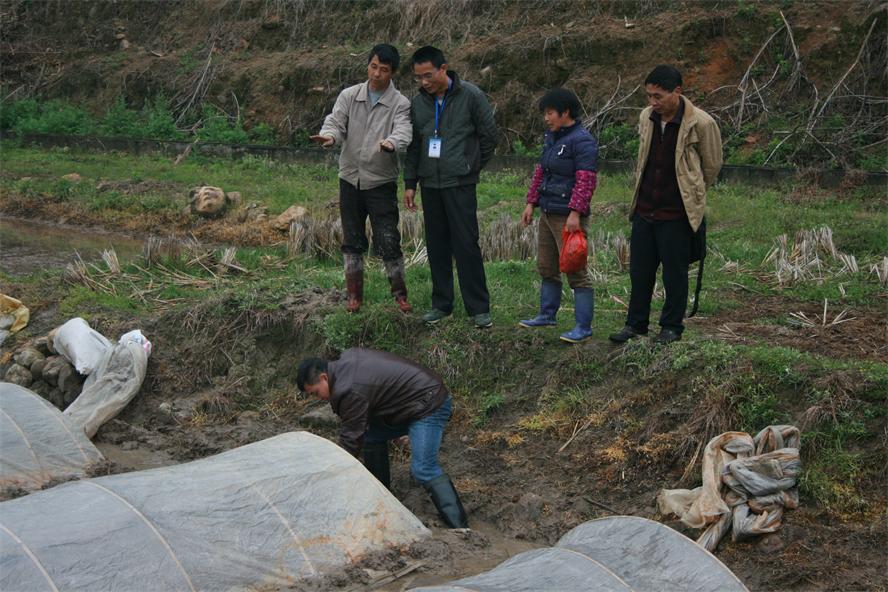 ������Ϫ��פ��Ѳ�� ָ������������