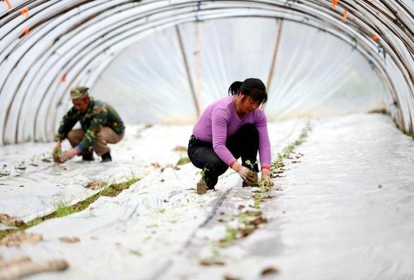 �����ϲ��У����ֵ��� ũ�·�æ