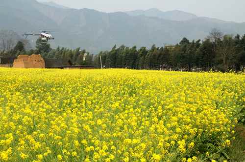 ������Զ��ֲ���ɻ�ʩ��ʱ��߲�