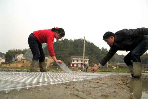 ����˫���ؼ��������ִ���