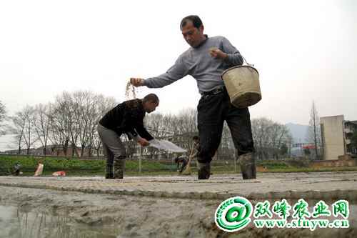 ��Ҷ�弯�������������ѧ���������׷�