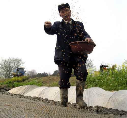 ����弯��������������츶�ڲ�������