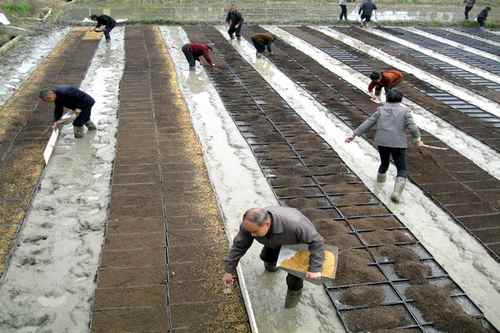 ����˫���ؼ��������ִ���2