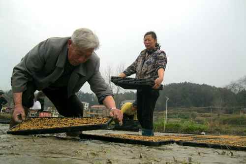 ˫���ص�һ��˫����ȫ�̻�е��ʾ���微�����������ʯ�塢���������������