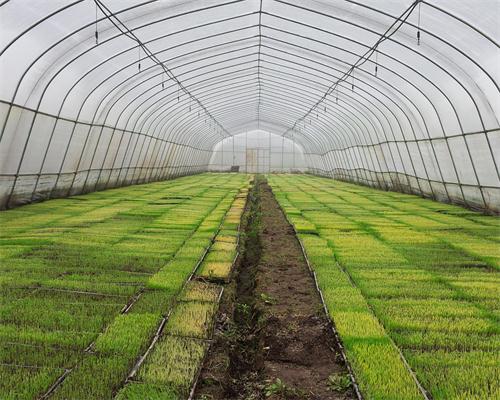 ���������������״λ�����������ɹ�