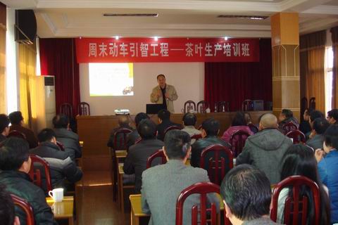 ����̩����פ��Ѳ�� ��չ��Ҷ������ѵ