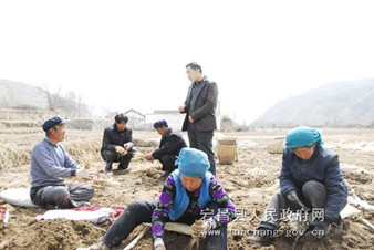 ����崲��ش���ҩ���罻���г�����