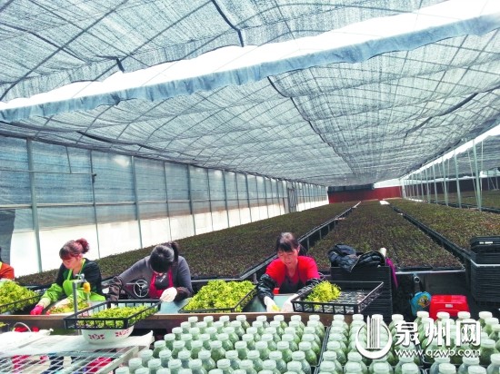 ����Ȫ�ݣ���Ƥʯ�����繩��Ӧ��