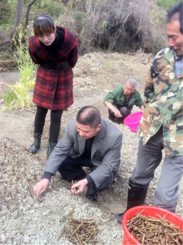 �������֣�פ��Ѳ�� ָ���������