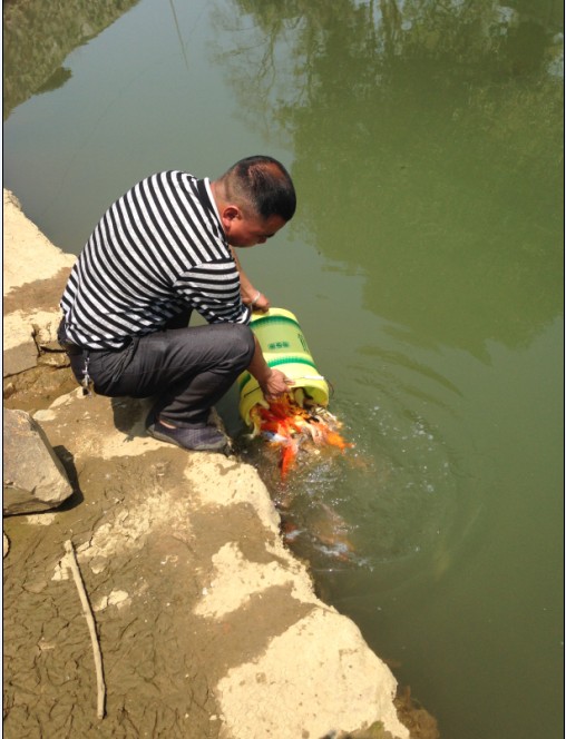 ������������絽����