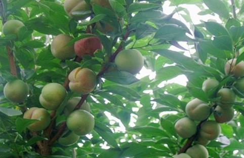 �Ĵ��˱�������ע��ˮ���̱ꡰ�Ź��ϡ�