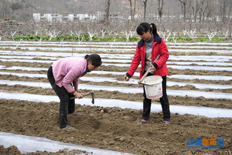 �����������𴺸������ȳ�