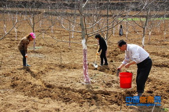 ���������ץʱ�� ���ô�����������