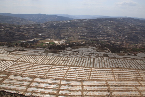 ������ˮ��ũҵ���ٴζ����ذ��ض��踲Ĥ����