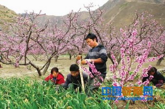 ����¤�����䶼��������ũ��������������