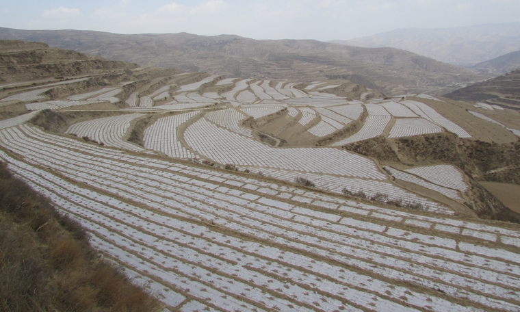 ������ˮ��ũҵ�ֶ���ָ����ɽ�ض��踲Ĥ����