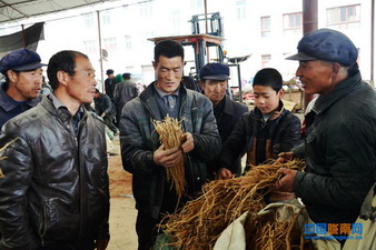 ����崲��سǹ���ҩ���г�ҩ�������ʼ����